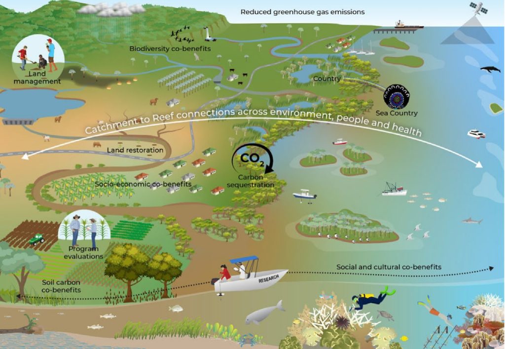Catchment to reef infographic